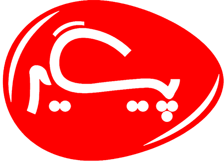 شرکت پیگیر